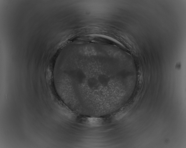 X0000089910371200707131354
