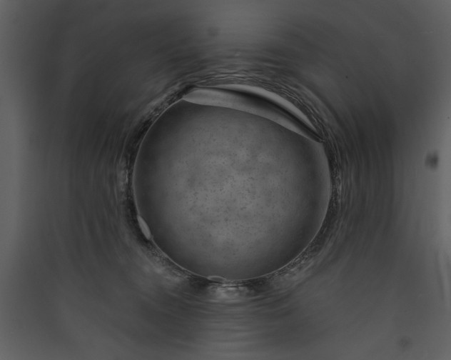 X0000089910372200707131354