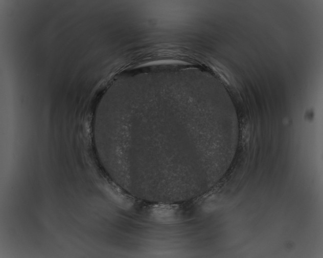 X0000089910373200707131354