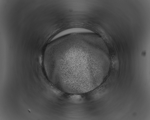 X0000089910374200707131354