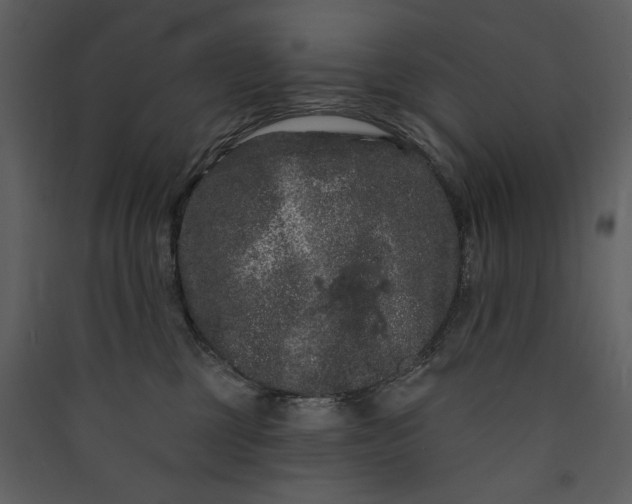 X0000089910377200707131354