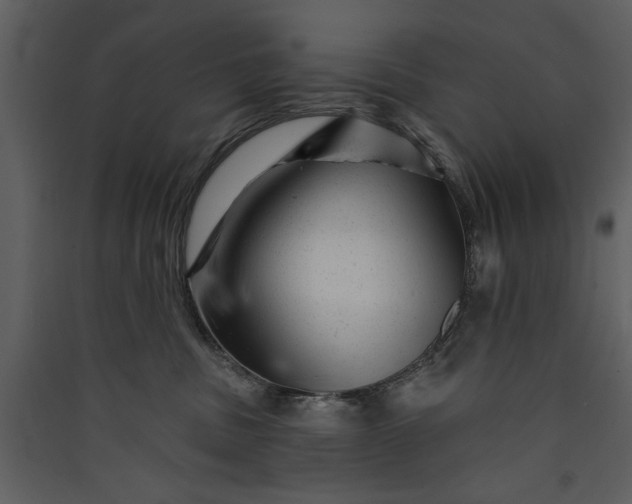 X0000089910379200707131354