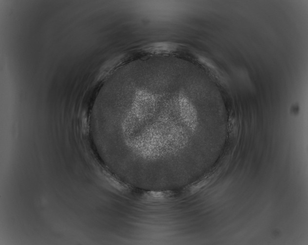 X0000089910381200707131354
