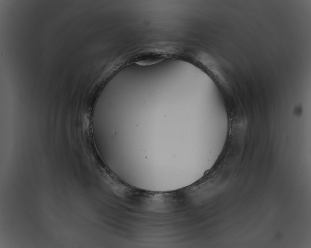 X0000089910382200707131354