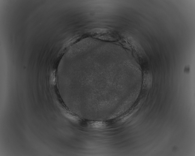 X0000089910383200707131354