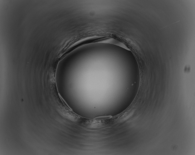 X0000089910384200707131354