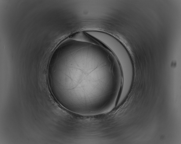 X0000089910385200707131354