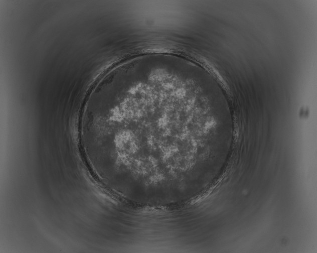 X0000089910386200707131354