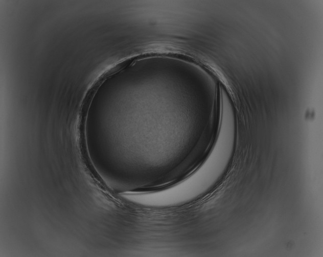 X0000089910387200707131353