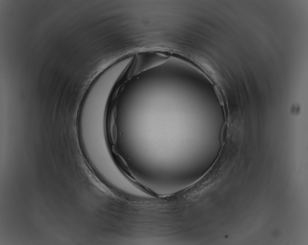 X0000089910389200707131353