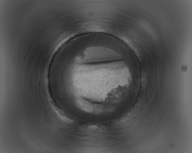 X0000089910390200707131353
