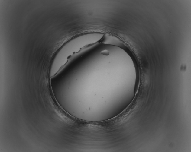 X0000089910393200707131353