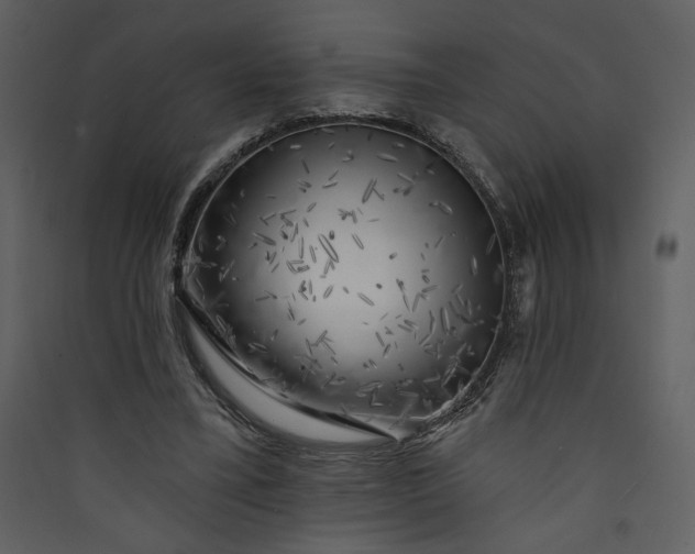 X0000089910395200707131353