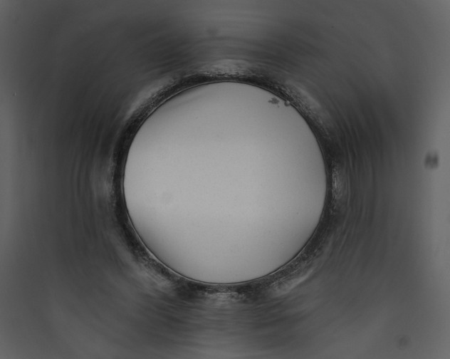 X0000089910396200707131353