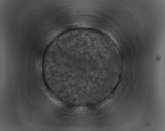 X0000089910398200707131353