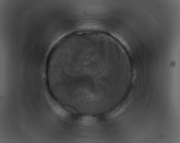 X0000089910399200707131353