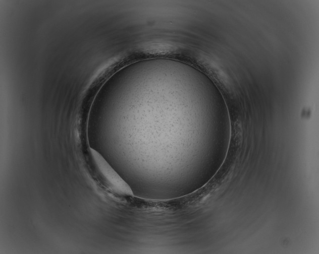 X0000089910400200707131353