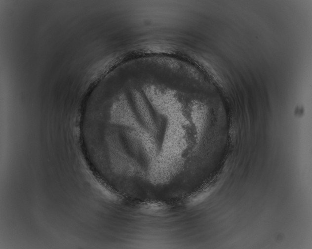 X0000089910402200707131353