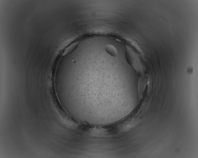 X0000089910403200707131353