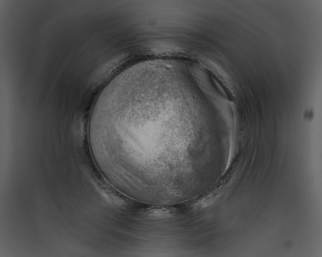 X0000089910405200707131353
