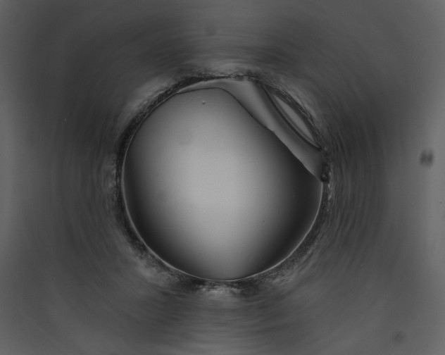 X0000089910407200707131353