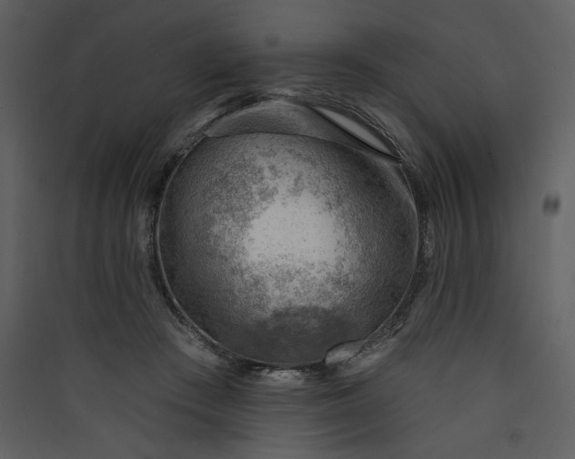 X0000089910409200707131353