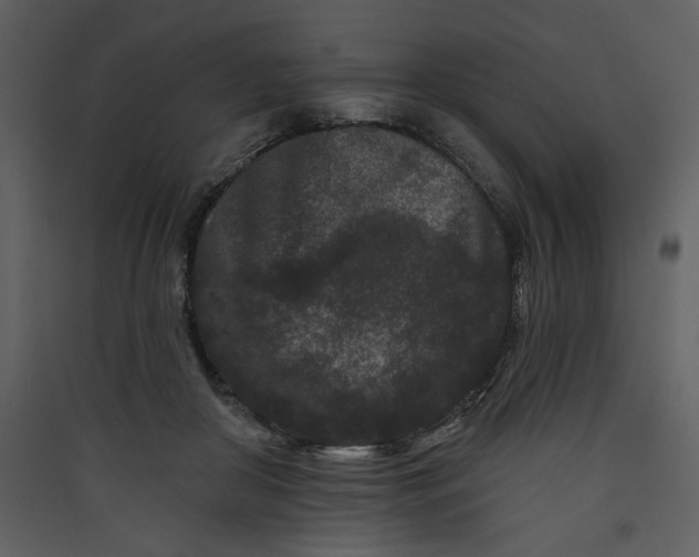 X0000089910410200707131353