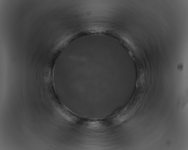 X0000089910411200707131353