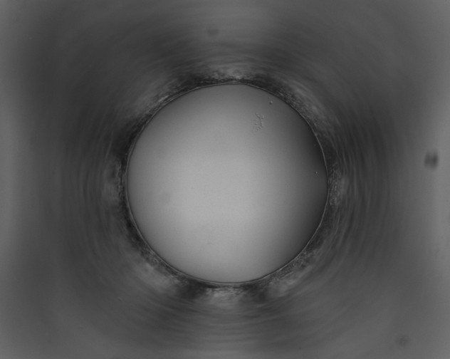 X0000089910414200707131353