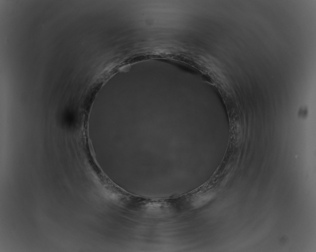 X0000089910415200707131353