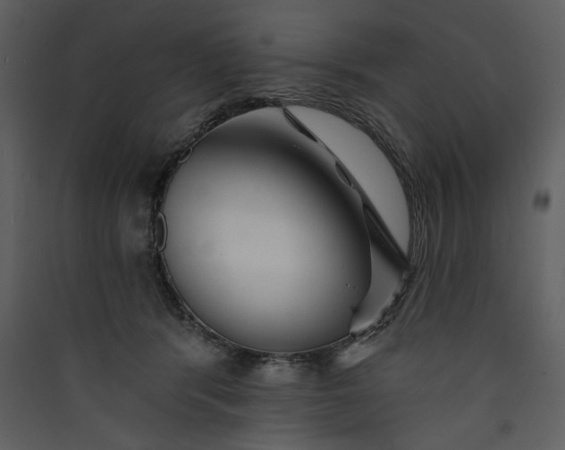 X0000089910416200707131353