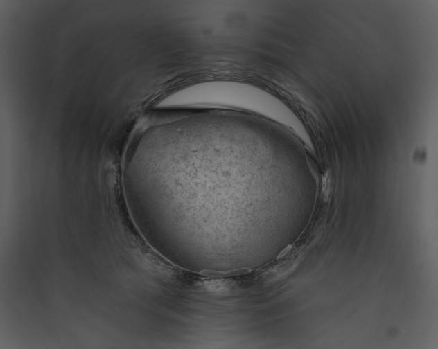 X0000089910417200707131353