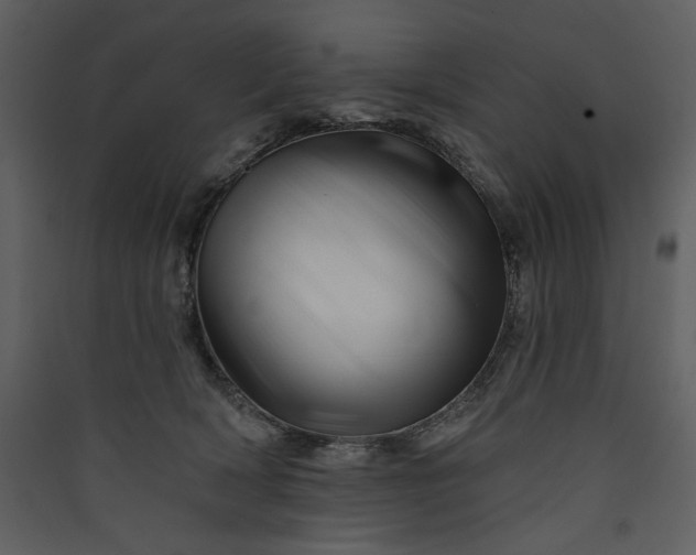 X0000089910418200707131353