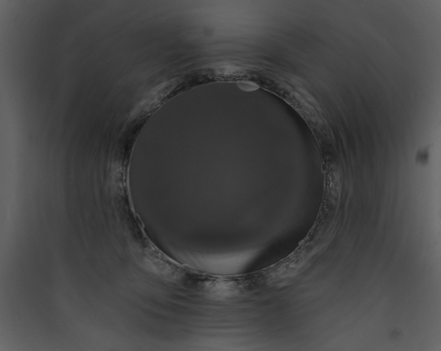 X0000089910419200707131353