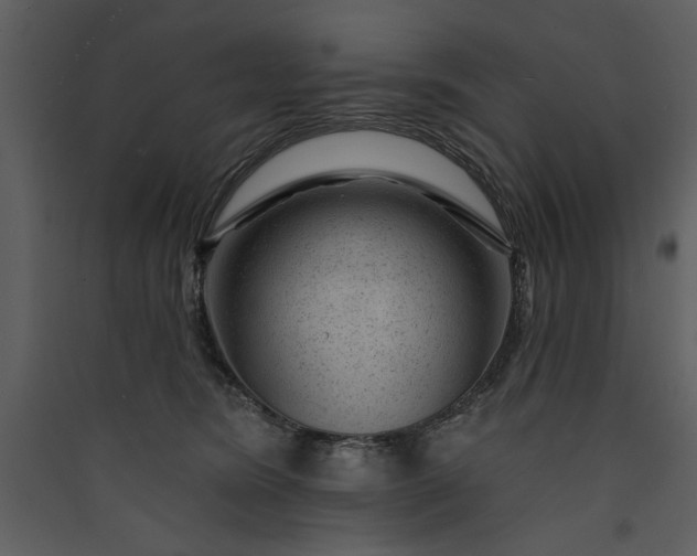 X0000089910420200707131353