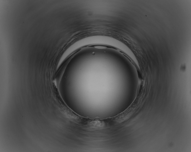 X0000089910421200707131353
