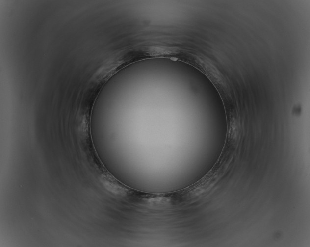 X0000089910426200707131353