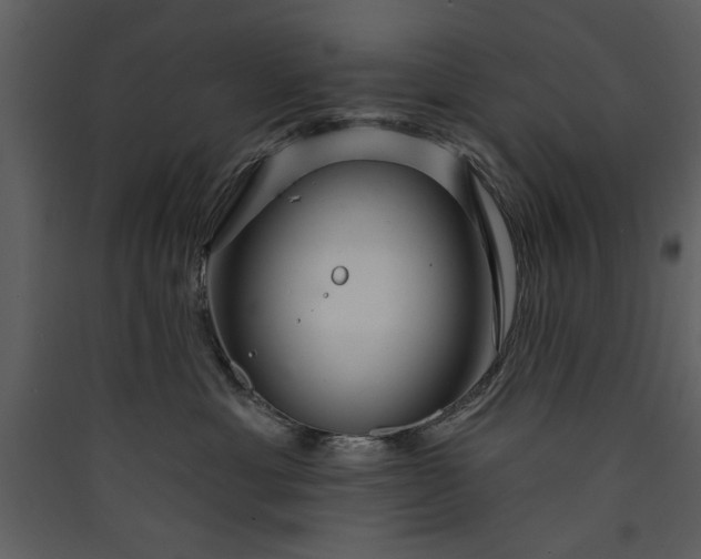 X0000089910429200707131353