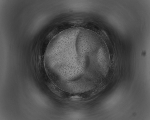 X0000089910430200707131353