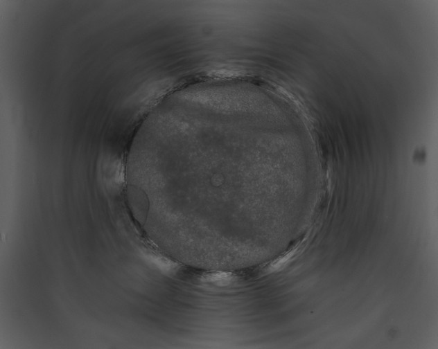 X0000089910431200707131353