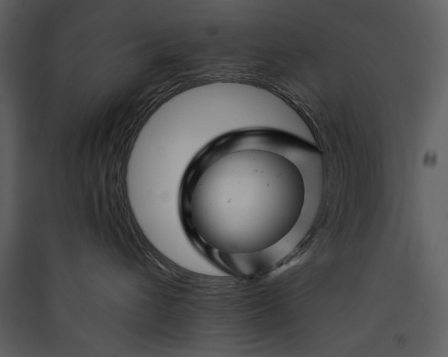 X0000089910432200707131353