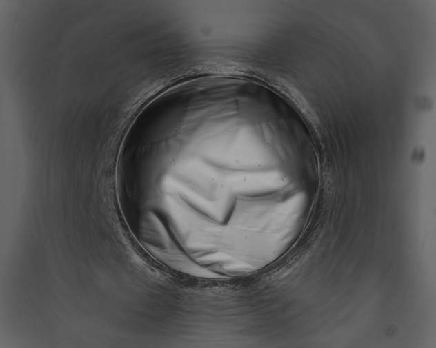 X0000089910433200707131352
