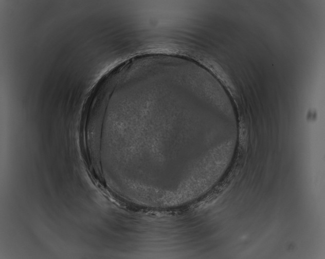 X0000089910434200707131352