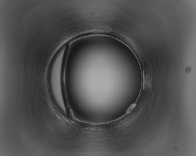 X0000089910435200707131352