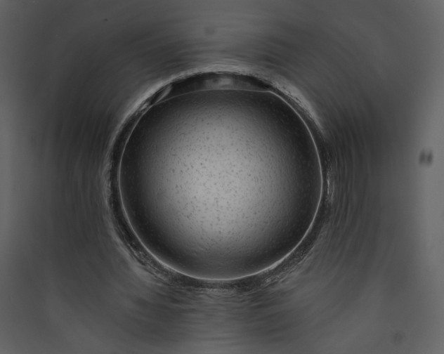 X0000089910436200707131352