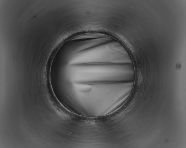 X0000089910439200707131352
