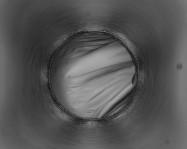X0000089910441200707131352