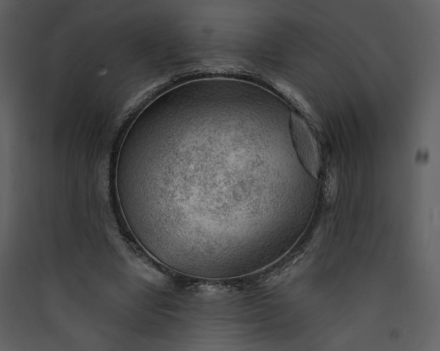 X0000089910442200707131352