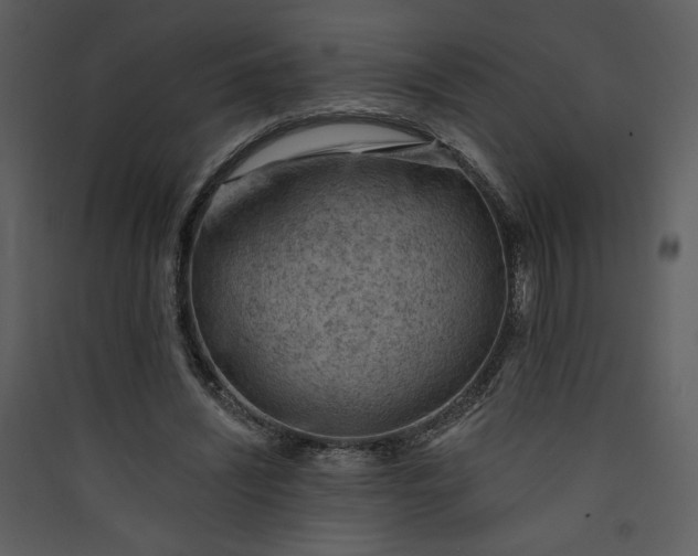 X0000089910444200707131352