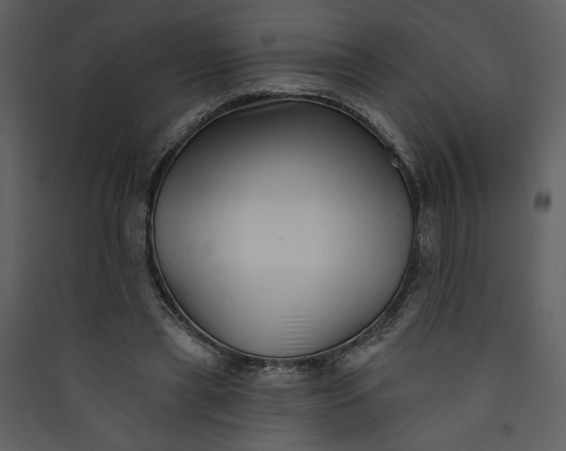 X0000089910445200707131352